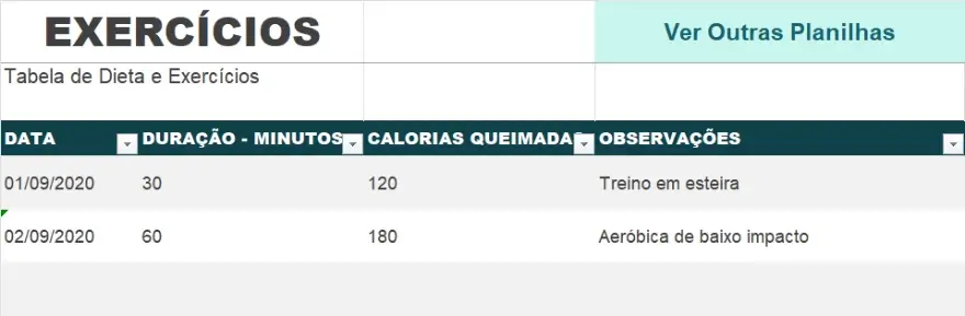 Preencher a Planilha dos Exercícios